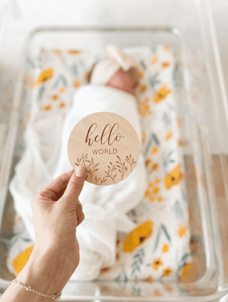 Hello World Birth Announcement Board