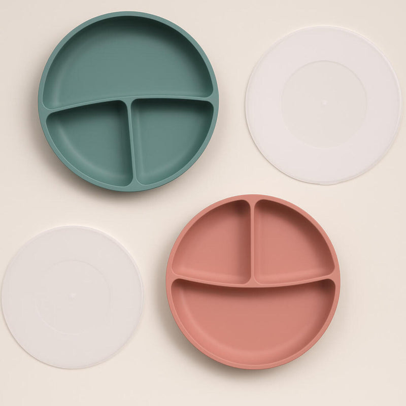 Suction Plate with Lid