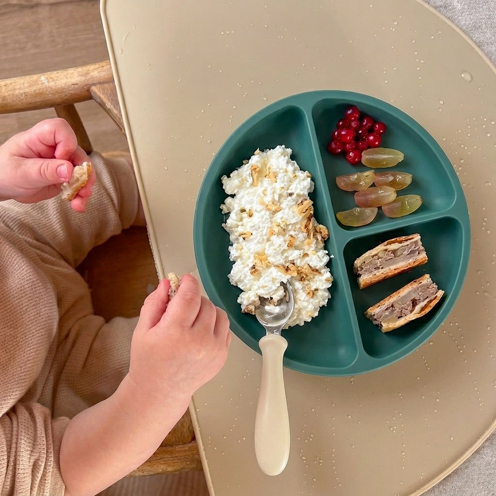 Suction Plate with Lid