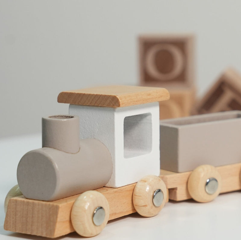 Little Explorer Set